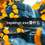 Microsoft ActiveSync进程rapimgr.exe安全解析