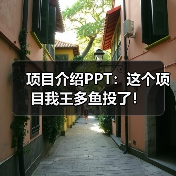 项目介绍PPT：这个项目我王多鱼投了！（图1）