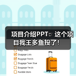 项目介绍PPT：这个项目我王多鱼投了！（图2）