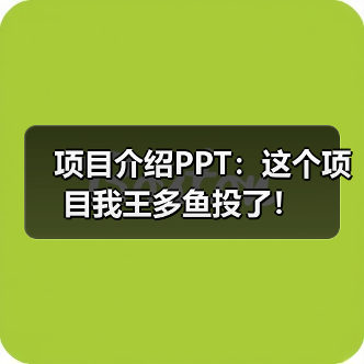 项目介绍PPT：这个项目我王多鱼投了！（图3）