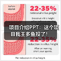 项目介绍PPT：这个项目我王多鱼投了！（图4）