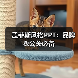 孟菲斯风格PPT:品牌&公关必备(图2) 孟菲斯风格PPT:品牌&公关必备(图2)