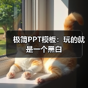 极简PPT模板:玩的就是一个黑白(图2) 极简PPT模板:玩的就是一个黑白(图2)