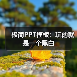 极简PPT模板:玩的就是一个黑白(图4) 极简PPT模板:玩的就是一个黑白(图4)