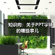 知识向:关于PPT字体的哪些事儿(图4) 知识向:关于PPT字体的哪些事儿(图4)