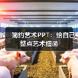 简约艺术PPT:给自己整点艺术细菌(图2) 简约艺术PPT:给自己整点艺术细菌(图2)
