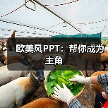 欧美风PPT:帮你成为主角(图3) 欧美风PPT:帮你成为主角(图3)