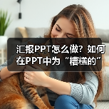 汇报PPT怎么做?如何在PPT中为“糟糕的”业绩“打圆场”(图4) 汇报PPT怎么做?如何在PPT中为“糟糕的”业绩“打圆场”(图4)
