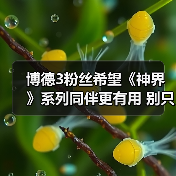 博德3粉丝希望《神界》系列同伴更有用 别只当陪衬!(图1) 博德3粉丝希望《神界》系列同伴更有用 别只当陪衬!(图1)