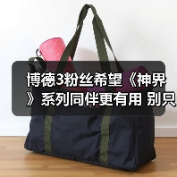 博德3粉丝希望《神界》系列同伴更有用 别只当陪衬!(图3) 博德3粉丝希望《神界》系列同伴更有用 别只当陪衬!(图3)