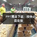 PPT图表下载：摸鱼必备套装（图4）