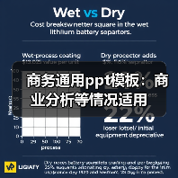 商务通用ppt模板：商业分析等情况适用（图4）