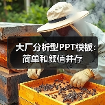 大厂分析型PPT模板：简单和颜值并存（图4）