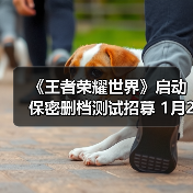 《王者荣耀世界》启动保密删档测试招募 1月20日截止!(图3) 《王者荣耀世界》启动保密删档测试招募 1月20日截止!(图3)