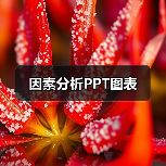 因素分析PPT图表（图2）