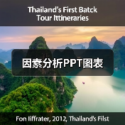因素分析PPT图表（图3）