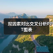 双因素对比交叉分析PPT图表（图4）