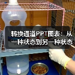 转换通道PPT图表：从一种状态到另一种状态（图1）