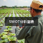 SWOT分析图表（图3）