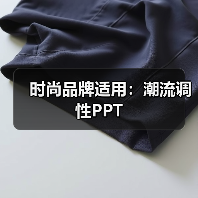 时尚品牌适用:潮流调性PPT(图3) 时尚品牌适用:潮流调性PPT(图3)