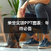 荣誉奖项PPT图表：年终必备