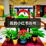 我的小红书账号