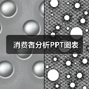 消费者分析PPT图表（图2）