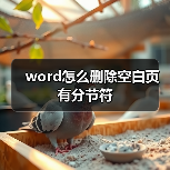 word怎么删除空白页有分节符(图4) word怎么删除空白页有分节符(图4)