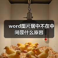 word图片居中不在中间是什么原因(图2) word图片居中不在中间是什么原因(图2)