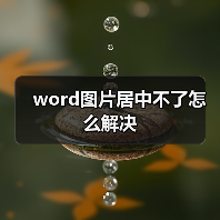 word图片居中不了怎么解决（图2）