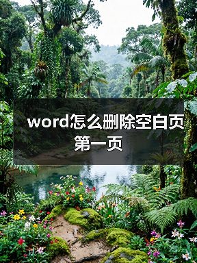 word怎么删除空白页第一页(图1) word怎么删除空白页第一页(图1)
