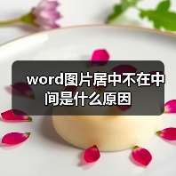 word图片居中不在中间是什么原因(图4) word图片居中不在中间是什么原因(图4)