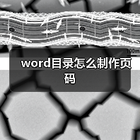 word目录怎么制作页码(图2) word目录怎么制作页码(图2)