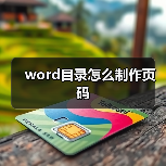 word目录怎么制作页码(图3) word目录怎么制作页码(图3)