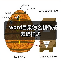 word目录怎么制作成表格样式(图4) word目录怎么制作成表格样式(图4)