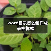 word目录怎么制作成表格样式(图3) word目录怎么制作成表格样式(图3)