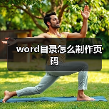 word目录怎么制作页码(图4) word目录怎么制作页码(图4)