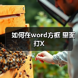 如何在word方框 里面打X(图2) 如何在word方框 里面打X(图2)