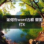 如何在word方框 里面打X(图1) 如何在word方框 里面打X(图1)