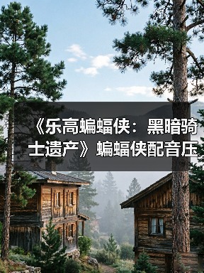 《乐高蝙蝠侠：黑暗骑士遗产》蝙蝠侠配音压力很大（图1）
