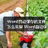 Word自动保存的文件怎么恢复 Word自动保存的文件恢复方法(图4) Word自动保存的文件怎么恢复 Word自动保存的文件恢复方法(图4)