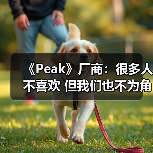 《Peak》厂商:很多人不喜欢 但我们也不为角逐大奖(图1) 《Peak》厂商:很多人不喜欢 但我们也不为角逐大奖(图1)