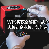 WPS授权全解析:从个人版到企业版,如何选择与激活?(图4) WPS授权全解析:从个人版到企业版,如何选择与激活?(图4)