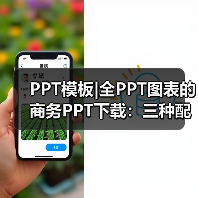PPT模板|全PPT图表的商务PPT下载:三种配色(图4) PPT模板|全PPT图表的商务PPT下载:三种配色(图4)