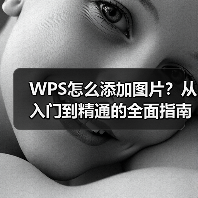 WPS怎么添加图片?从入门到精通的全面指南(图3) WPS怎么添加图片?从入门到精通的全面指南(图3)
