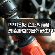 PPT模板|企业&商务:流落路边的国外野生PPT(图1) PPT模板|企业&商务:流落路边的国外野生PPT(图1)