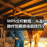 WPS分栏教程:从基础操作到高级排版技巧全解析(图2) WPS分栏教程:从基础操作到高级排版技巧全解析(图2)