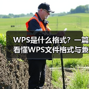 WPS是什么格式?一篇看懂WPS文件格式与兼容性问题(图1) WPS是什么格式?一篇看懂WPS文件格式与兼容性问题(图1)