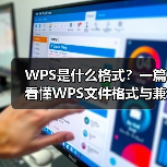 WPS是什么格式?一篇看懂WPS文件格式与兼容性问题(图3) WPS是什么格式?一篇看懂WPS文件格式与兼容性问题(图3)
