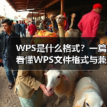 WPS是什么格式?一篇看懂WPS文件格式与兼容性问题(图4) WPS是什么格式?一篇看懂WPS文件格式与兼容性问题(图4)